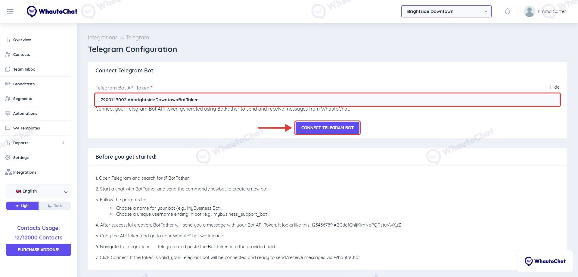 Telegram Bot API Token field and the Connect Telegram Bot button